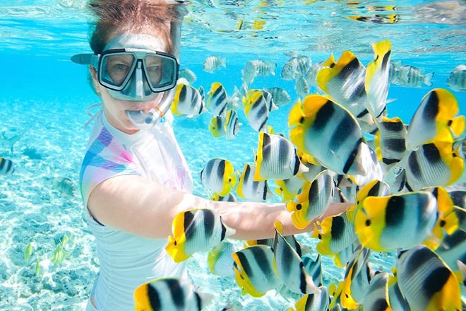 Private  Speed Boat to Phi Phi & Khai Islands