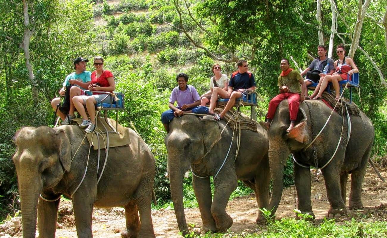 Phuket Safari Half Day Tour