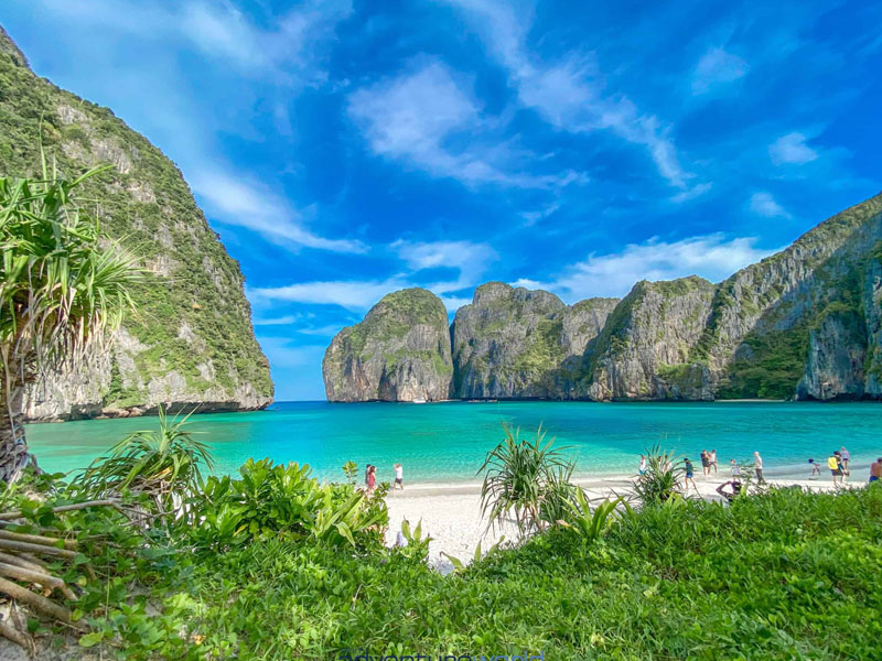 Phi Phi Maya Bay & Khai Islands  Speed Boat