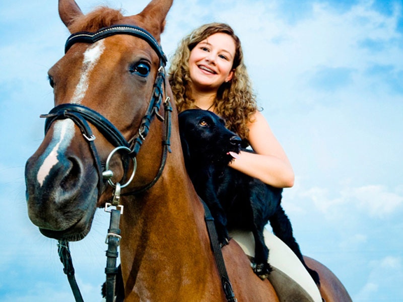 Phuket Horse Ridding