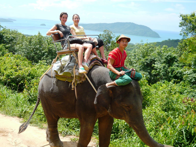 Phuket Elephant Trekking Tours