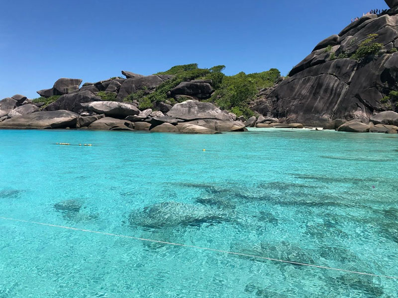 Similan Island Tour