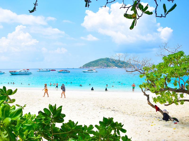 Similan Island Tour