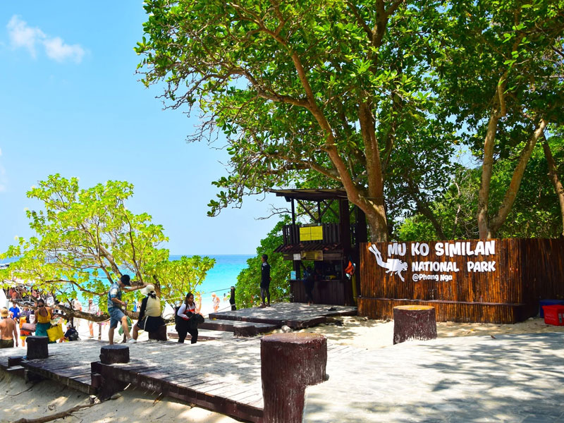 Similan Island Tour