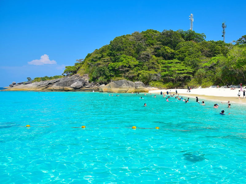 Similan Island Tour