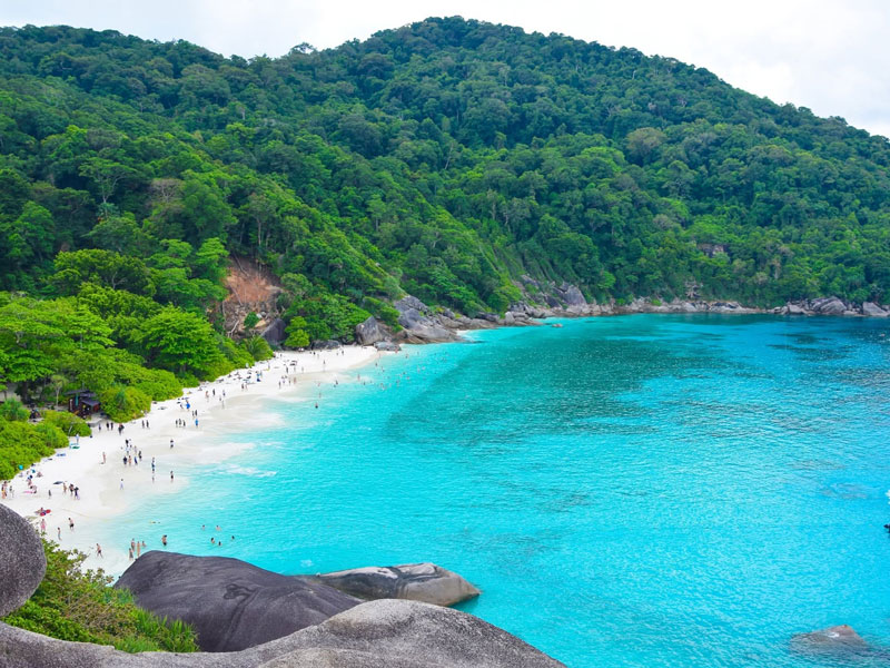 Similan Island Tour