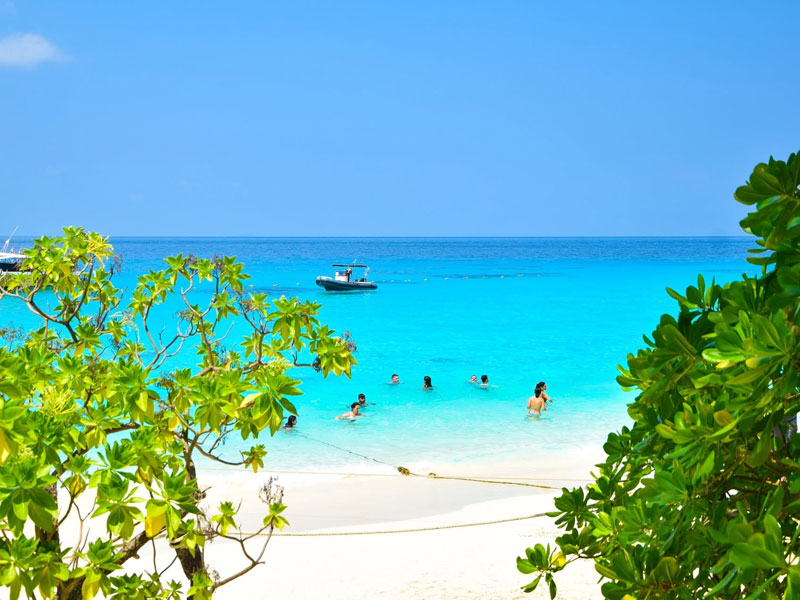 Similan Island Tour