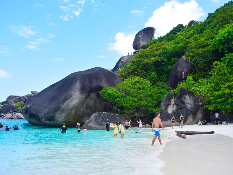 Similan Island Tour