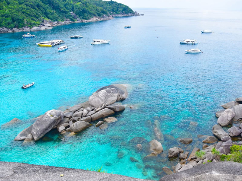 Similan Island Tour