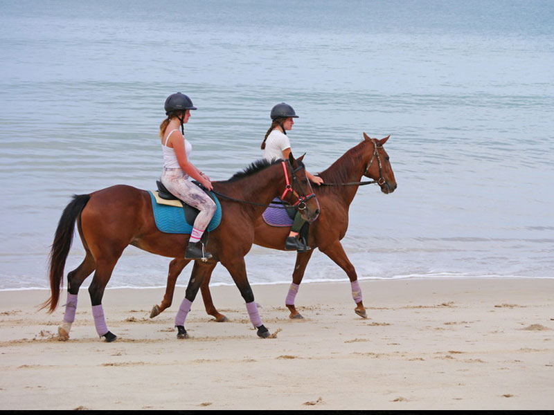 Phuket Horse Ridding