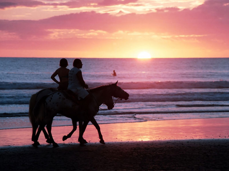 Phuket Horse Ridding