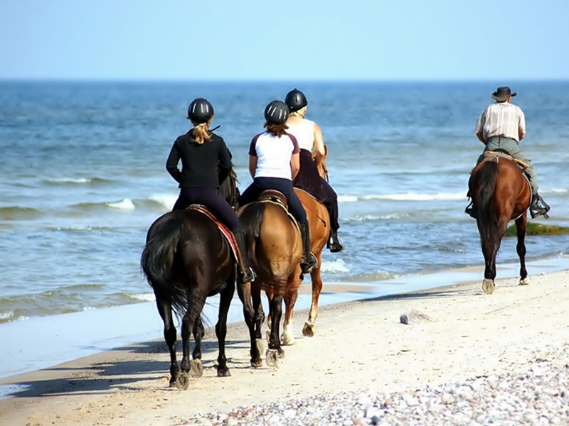 Phuket Horse Ridding