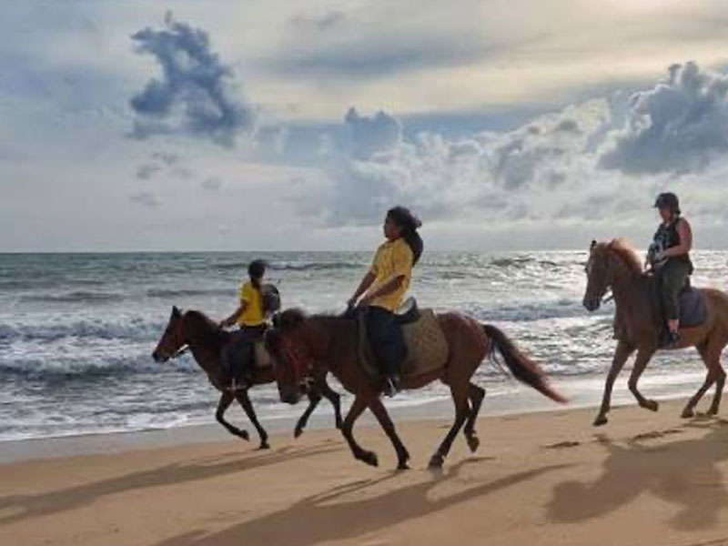 Phuket Horse Ridding