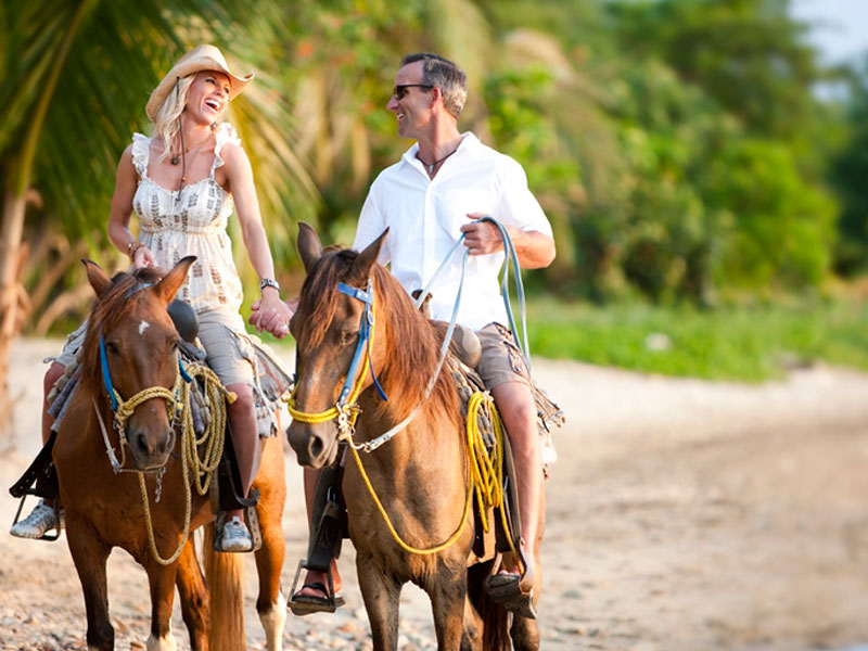 Phuket Horse Ridding