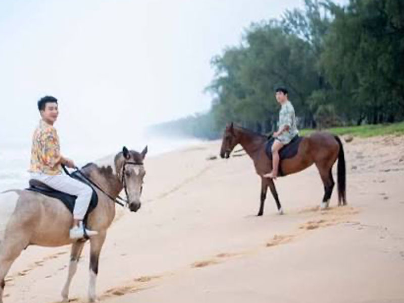 Phuket Horse Ridding