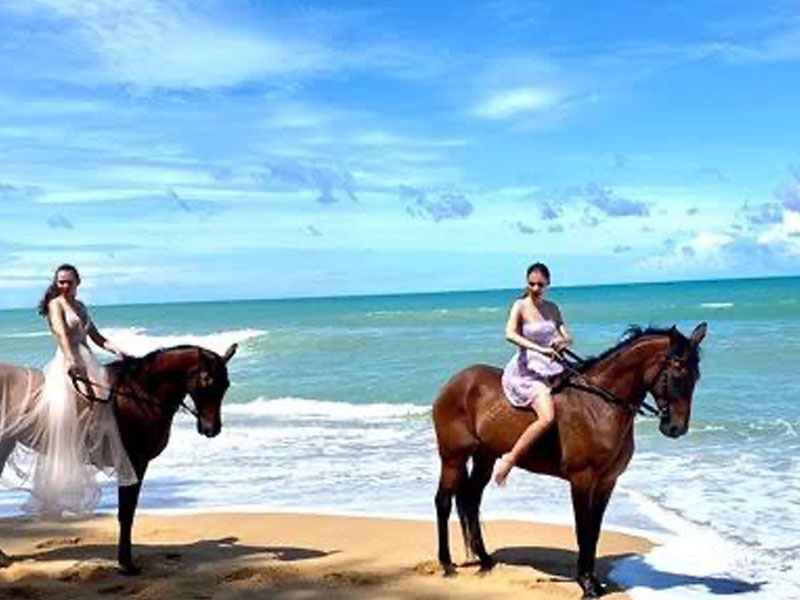 Phuket Horse Ridding