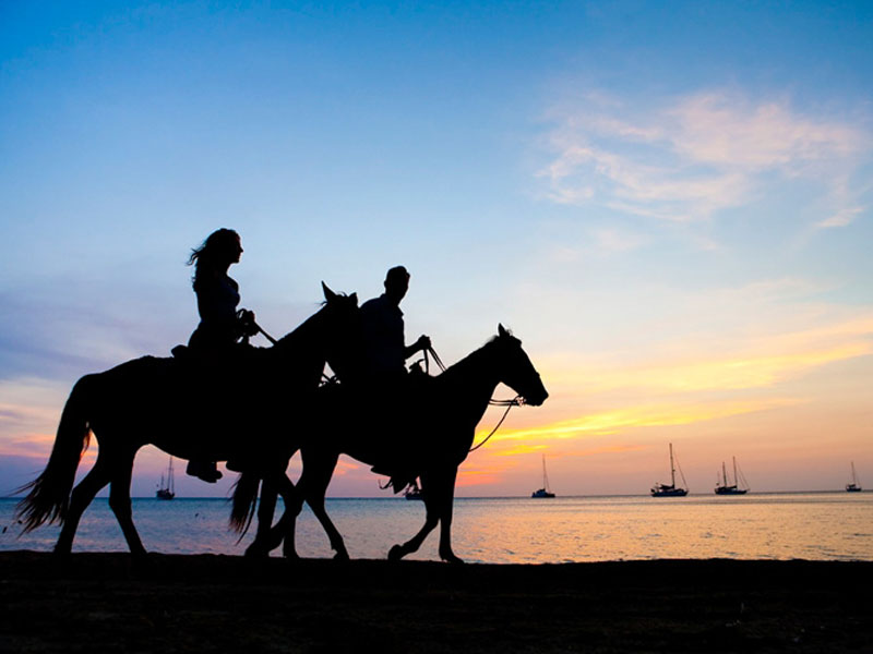 Phuket Horse Ridding