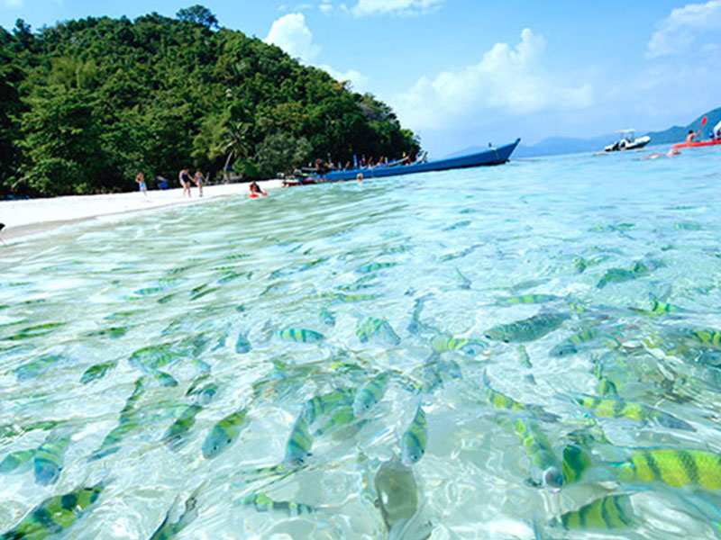 Private Coral Island half day tour by catamaran