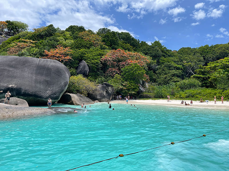 Private Similan Island Tours